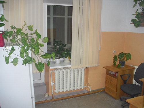 . � ��������� ����� ����� �������� �.�������.