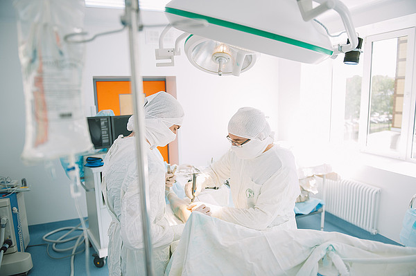 ��������. 