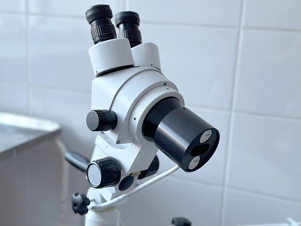 photo_2024-02-27_15-56-39. 