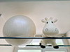 IMG_20230601_122521