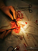 IMG-20221223-WA0023