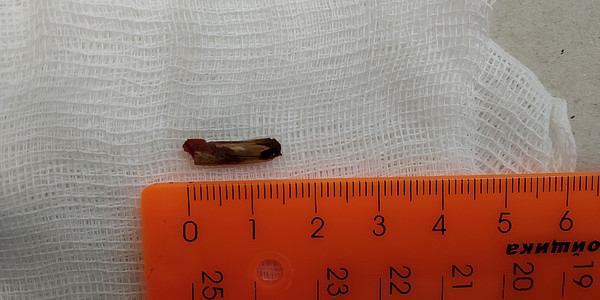 IMG_20180828_113122. 