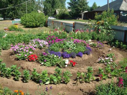 03. ��������������� ����������.