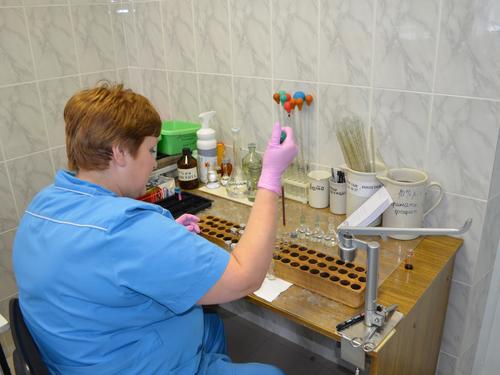 14. � �������� ������� �������������. 