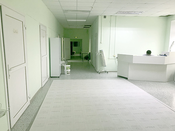 ���� ����������������� ���������. 