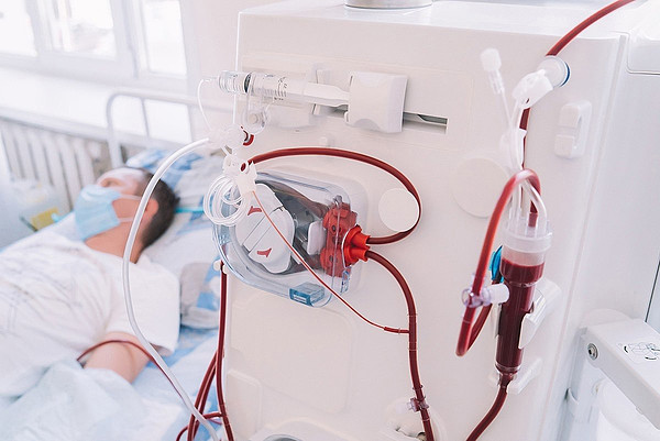 photo_2024-04-01_10-01-13. 