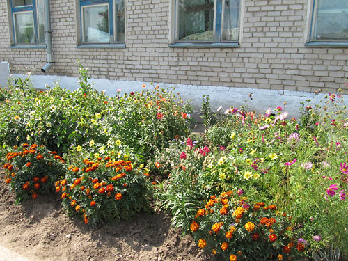 . ���������� �������� ����� - ������ ����������� ��������� ���.