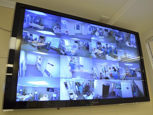 DSC_0017. ������� ��������������� � ��������� �����������.