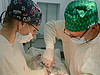 IMG_20230203_100536
