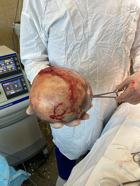 IMG-20230110-WA0002. 